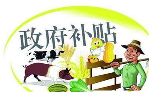 广州企业四大补贴是什么?
